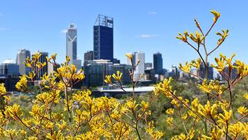 A city skyline with modern buildings and a clear blue sky.