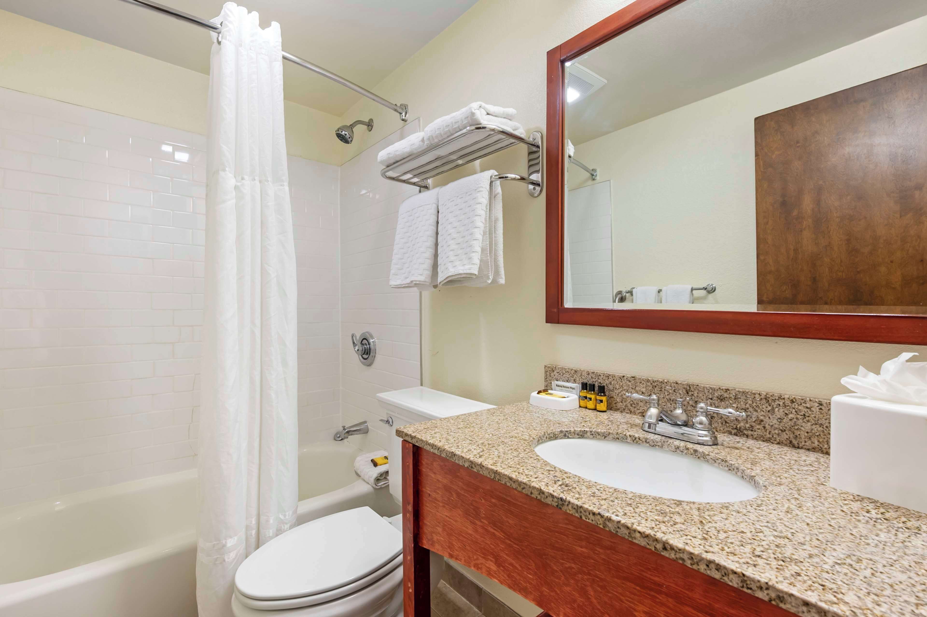 A bathroom with a shower, toilet, sink, and a mirror.