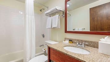 A bathroom with a shower, toilet, sink, and a mirror.