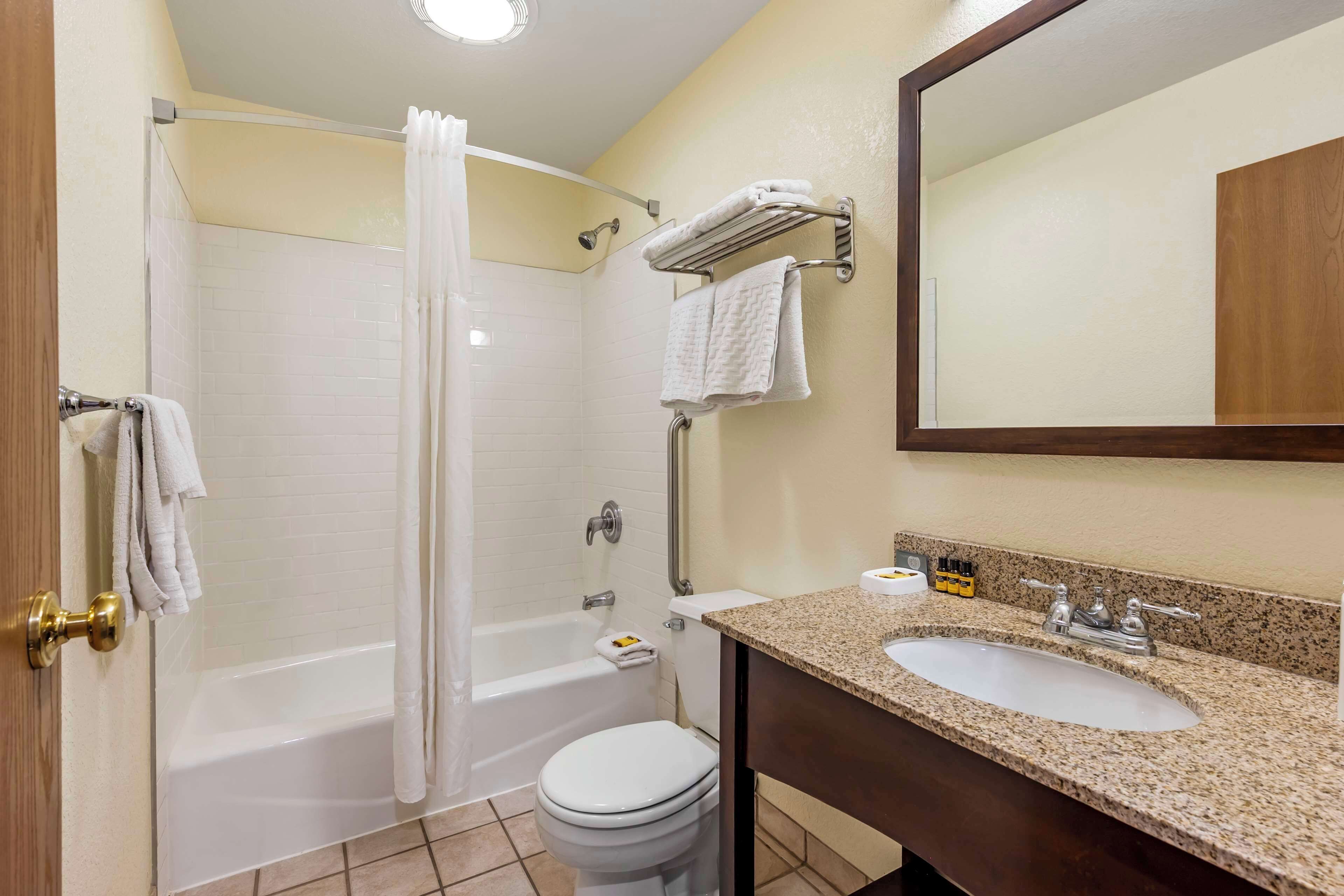 combined shower/bathtub, free toiletries, hair dryer, towels