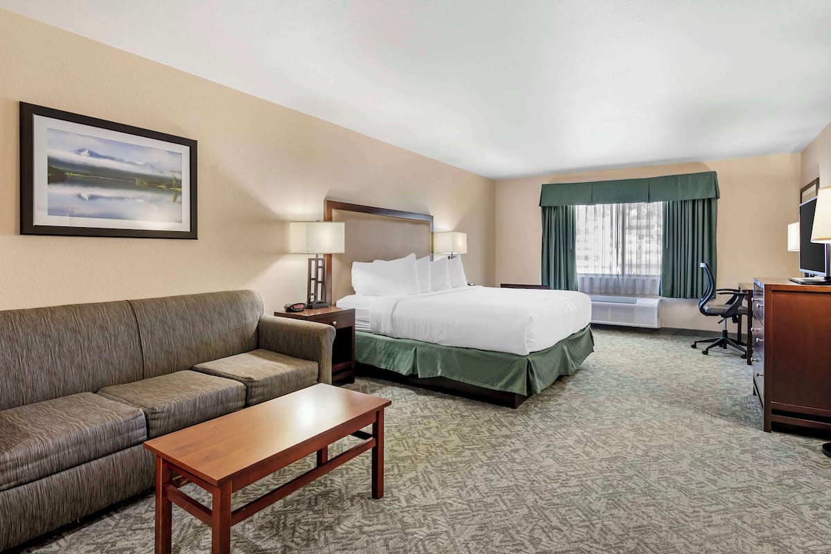 A hotel room with a bed, a sofa, a desk, and a chair.