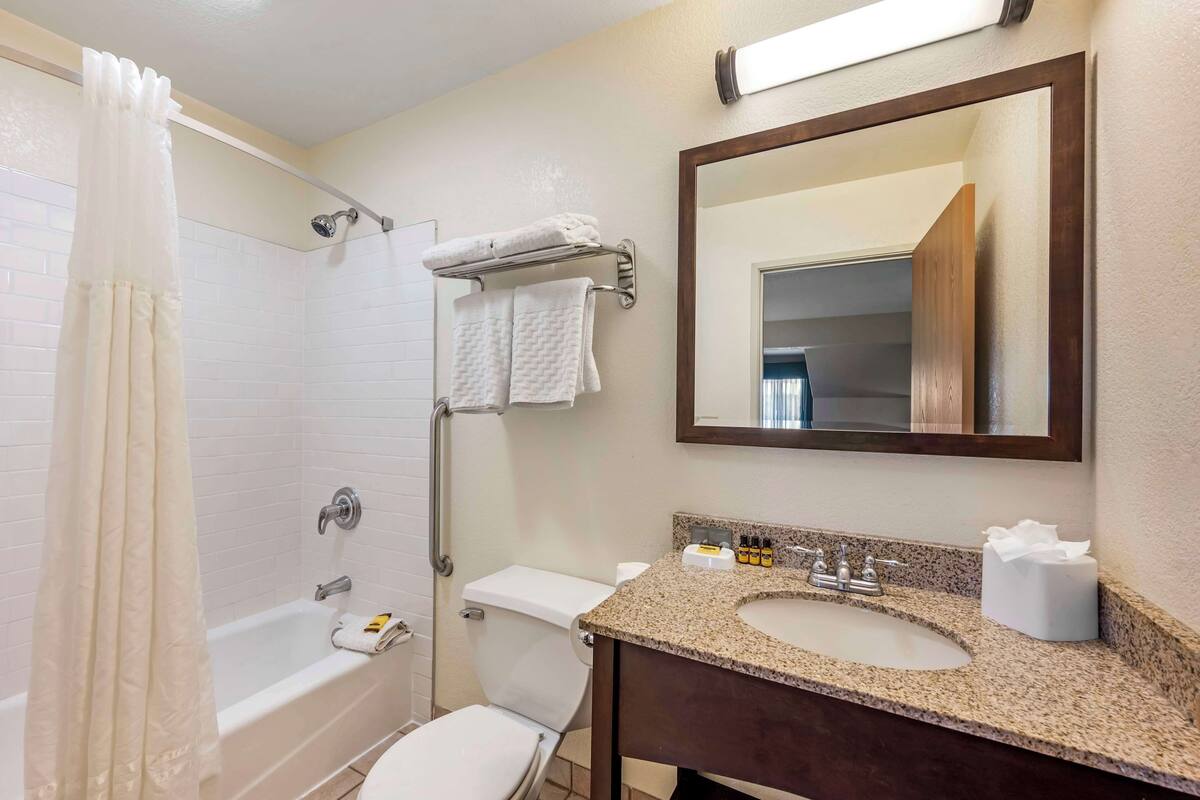 combined shower/bathtub, free toiletries, hair dryer, towels