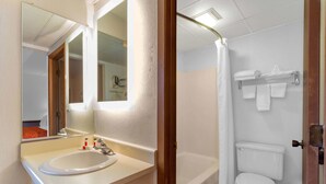Baño con lavabo, espejo y zona de ducha.