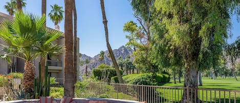 A landscaped outdoor area with a stone bench, palm trees, and a view of mountains.