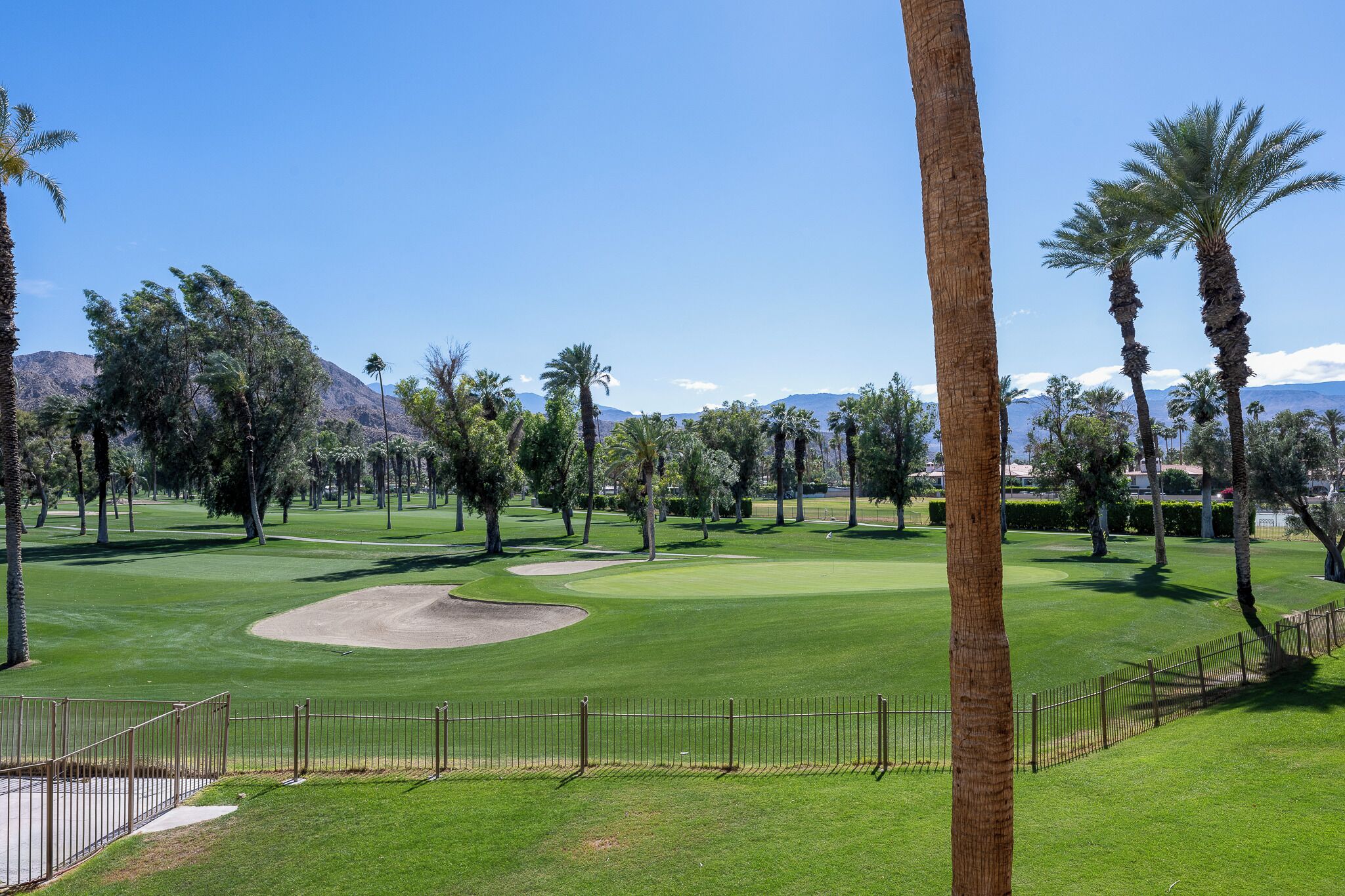 A golf course with well-maintained grass, sand bunkers, and palm trees.