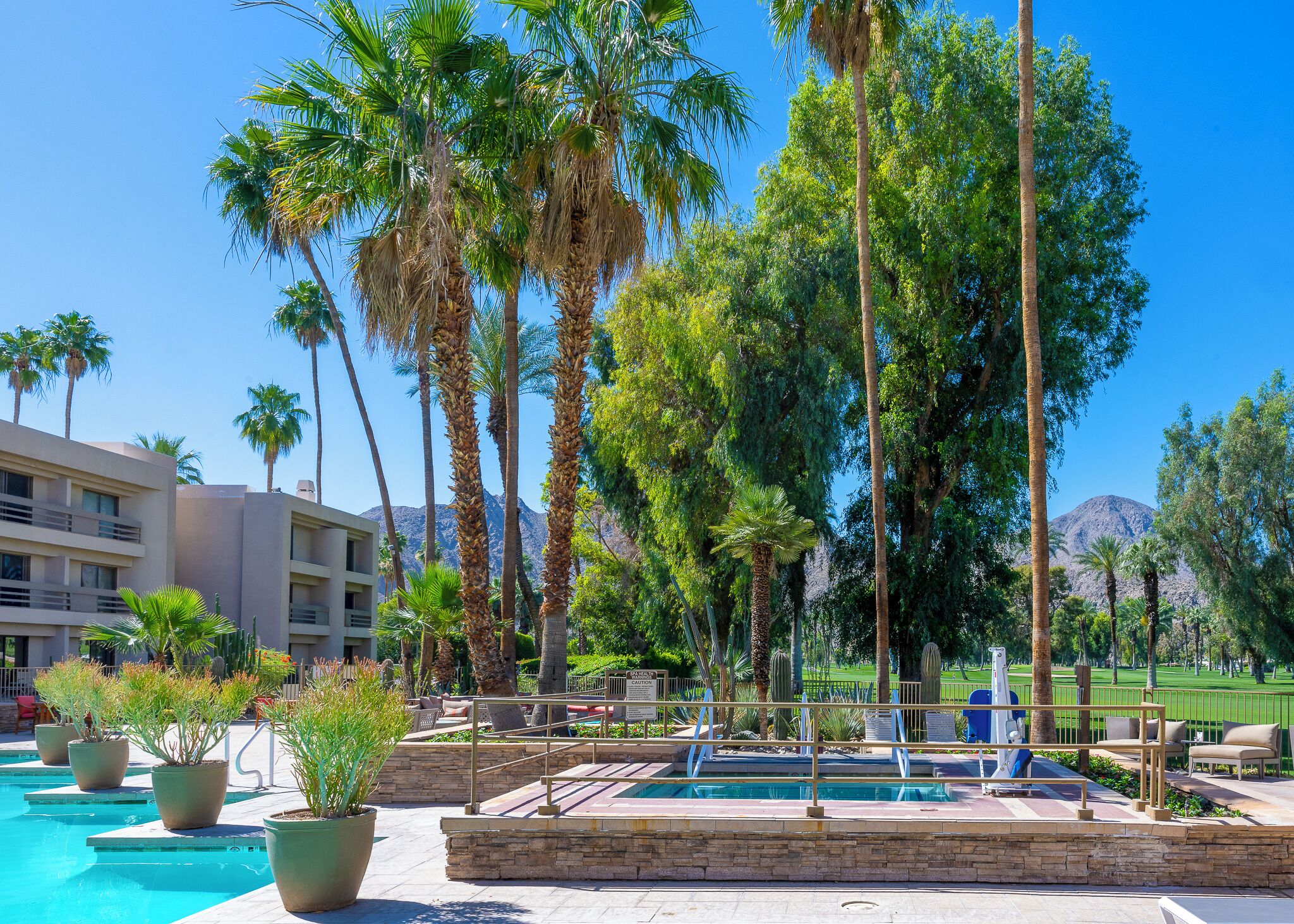 A pool area with palm trees, a pool, and a mountain in the background.