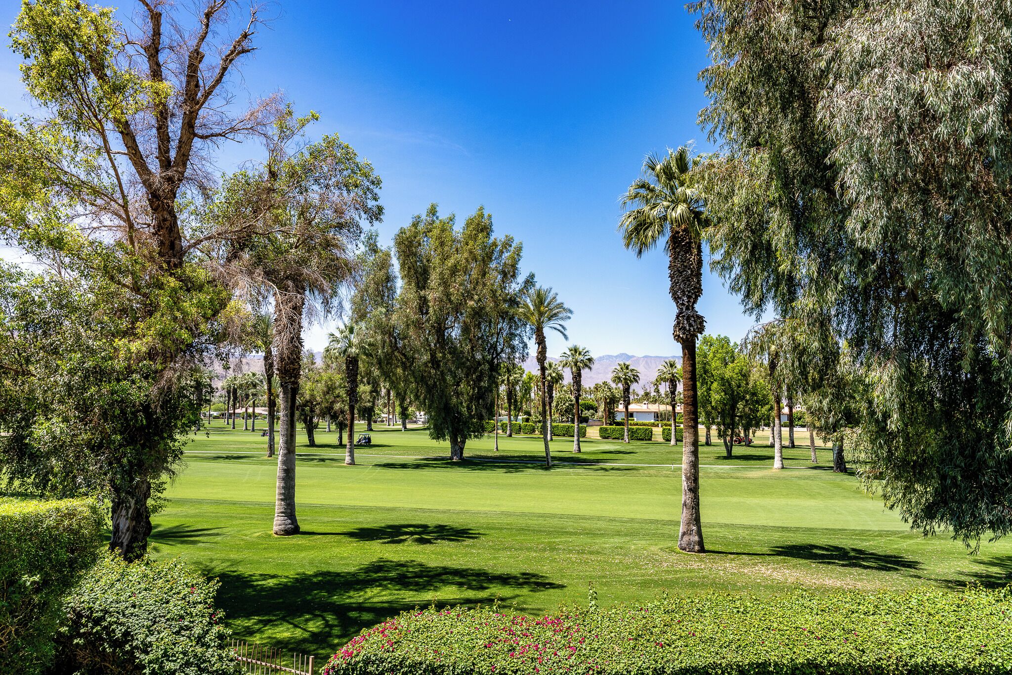 Un campo de golf bien cuidado con césped impecable, diversos árboles incluyendo palmeras y un cielo azul despejado.