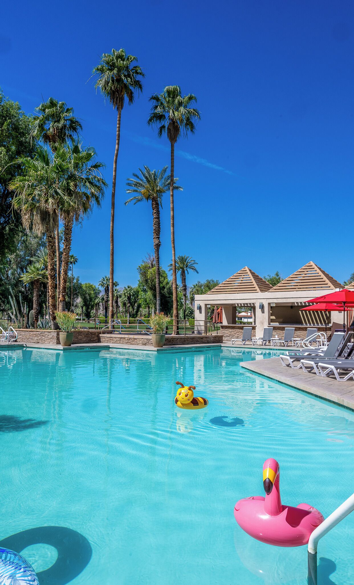 A clear blue pool with palm trees, lounge chairs, and a red umbrella.
