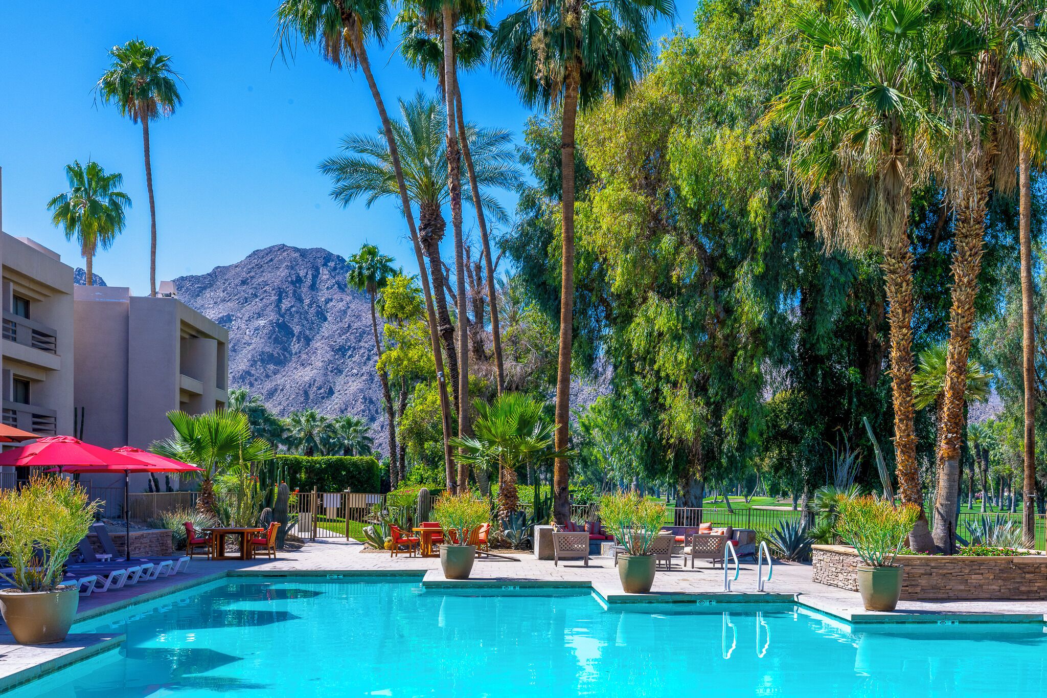 A pool area with palm trees, outdoor seating, and a mountain in the background.