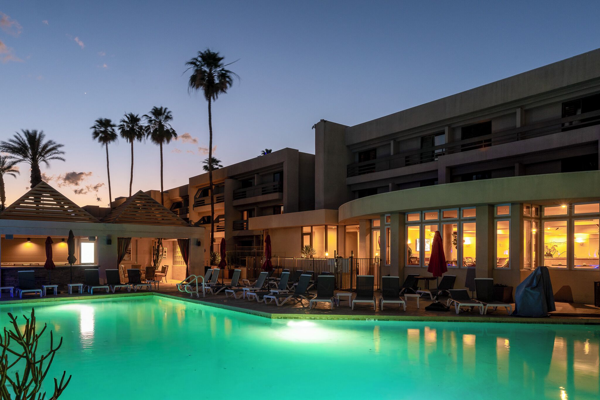 A hotel with a swimming pool, lounge chairs, and palm trees.