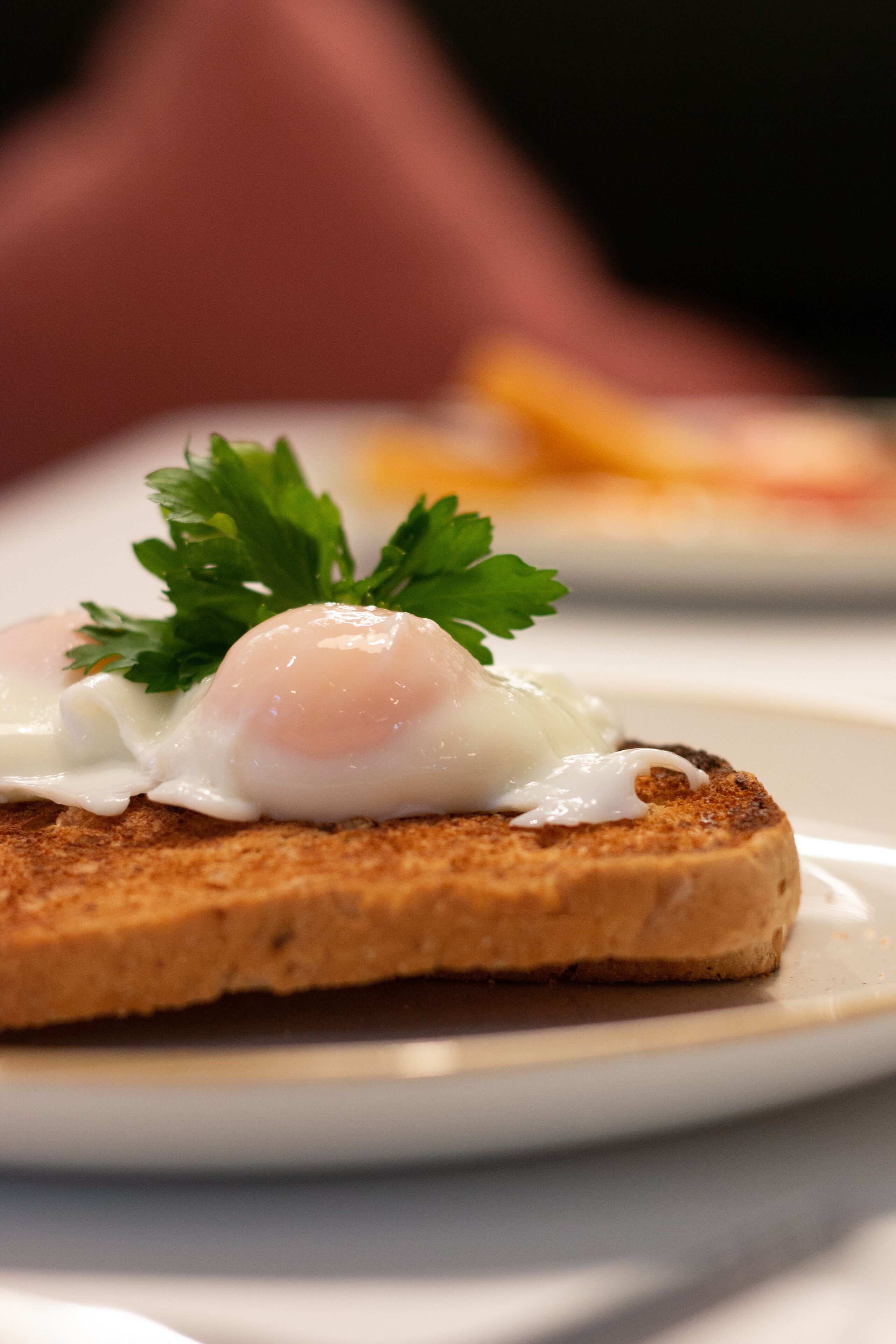 Un plat amb una làmina de torratada coberta amb un ou poché i un branclet de julivert.