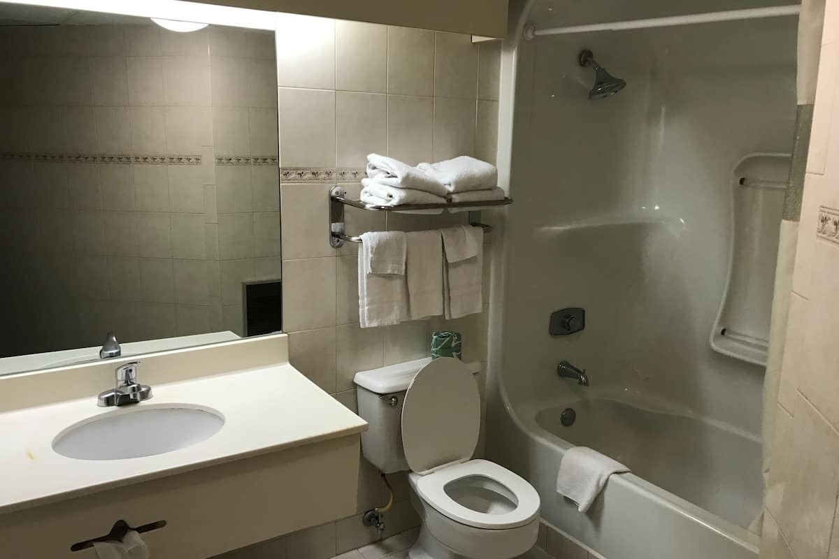 studio suite, 1 king bed, non smoking | bathroom | deep-soaking bathtub, hydromassage showerhead, free toiletries