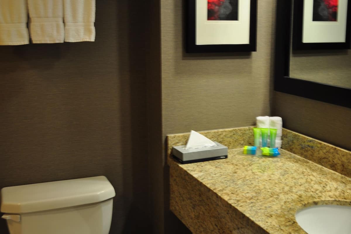 combined shower/bathtub, free toiletries, hair dryer, towels