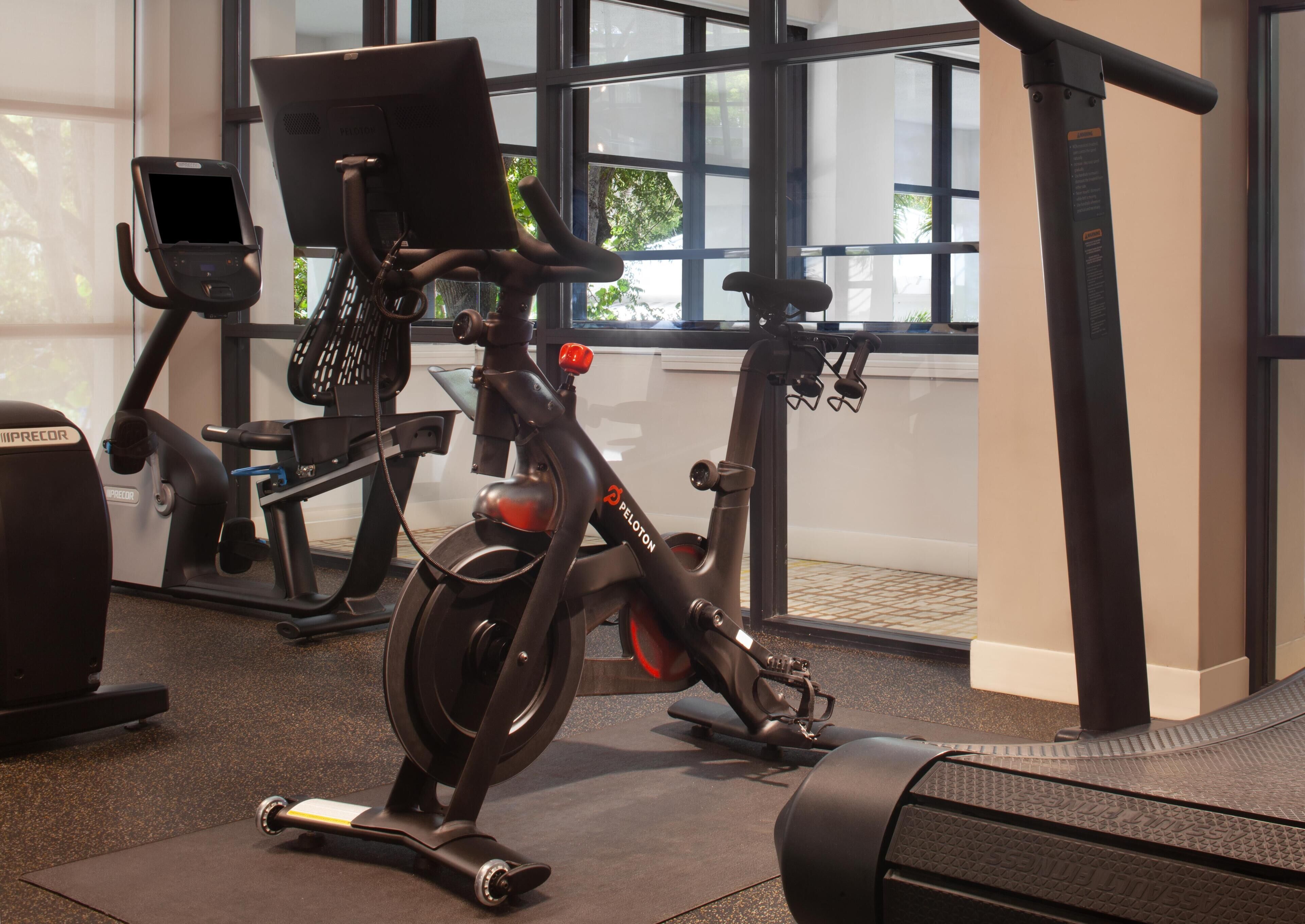 A stationary bike, a treadmill, and a rowing machine in a gym with large windows.