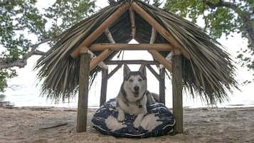 A dog resting under a thatched structure on a sandy beach.