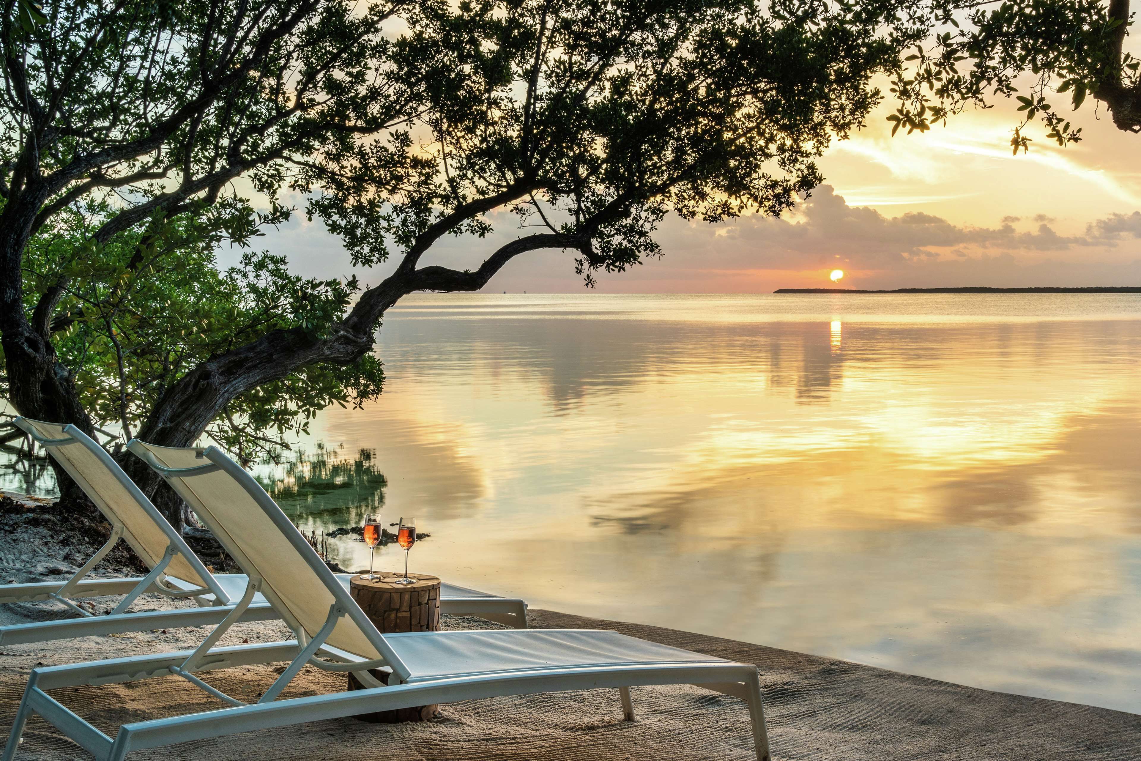 A serene lakeside setting with lounge chairs and a small table under a tree, overlooking a calm body of water at sunset.