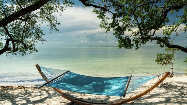 A hammock on a sandy beach with a view of the sea and a tree overhead. - Baker's Cay Resort Key Largo, Curio Collection by Hilton (Key Largo)