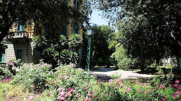 Property grounds
