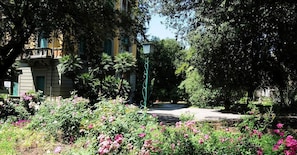 Property grounds