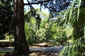 Property grounds
