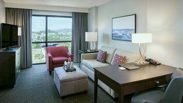 49-inch LCD TV with cable channels, TV