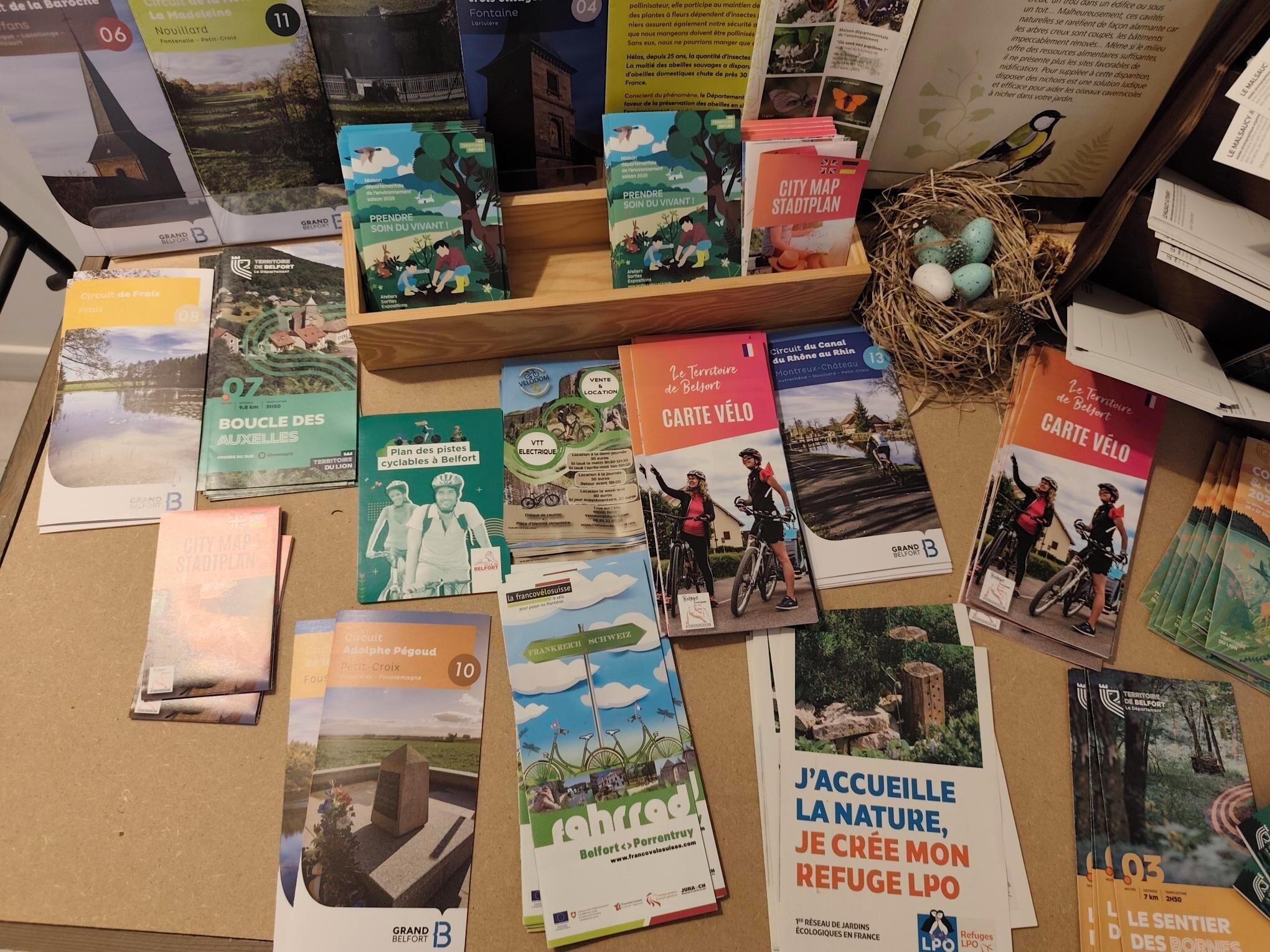 A variety of travel and cycling books spread across a table.