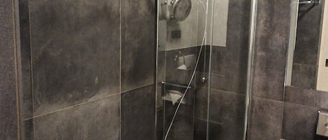 A modern bathroom with a glass-enclosed shower, a bathtub, and a toilet.