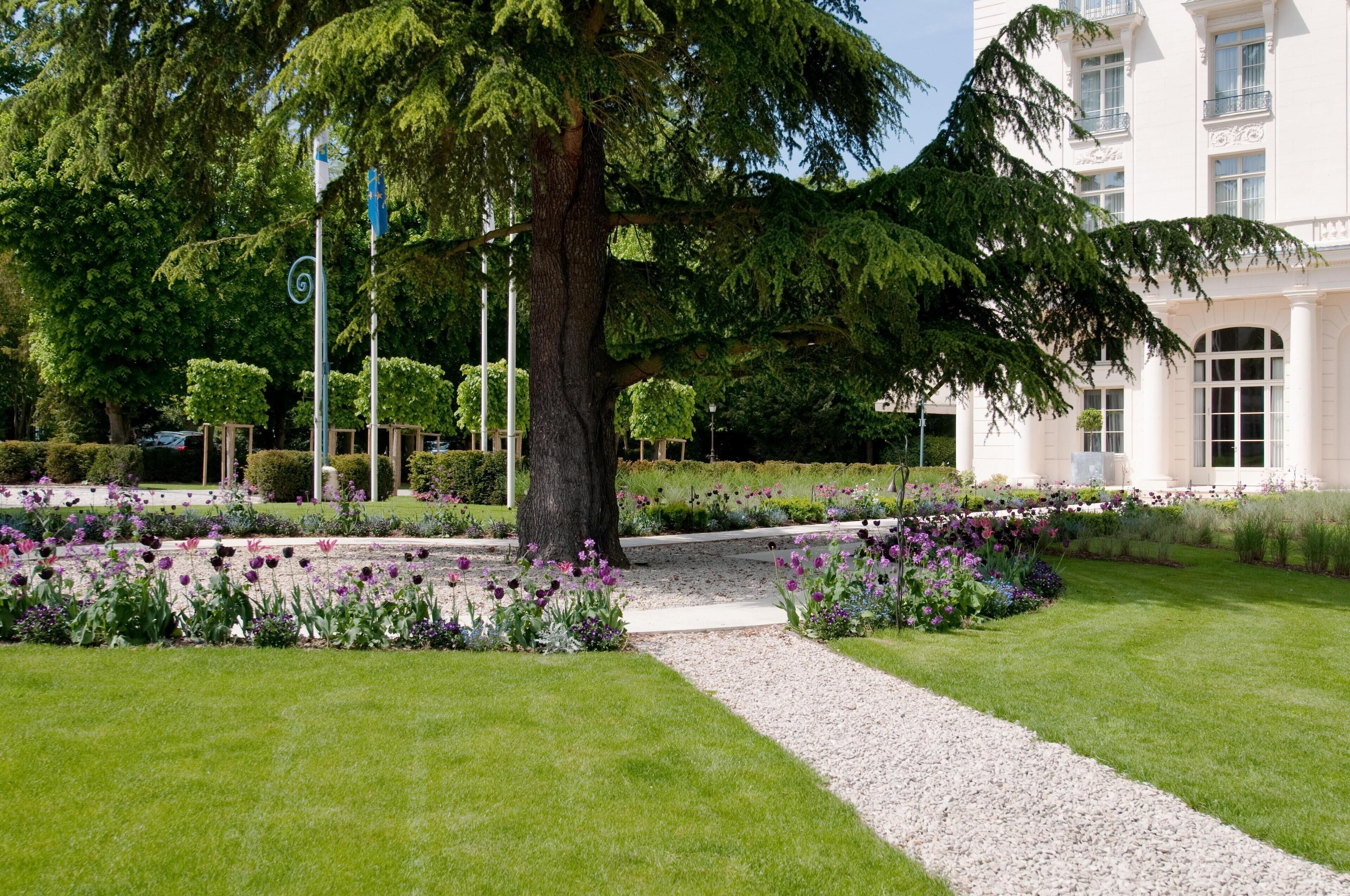 Un giardino curato con un albero imponente, prati ben tenuti e un edificio dall'architettura classica.