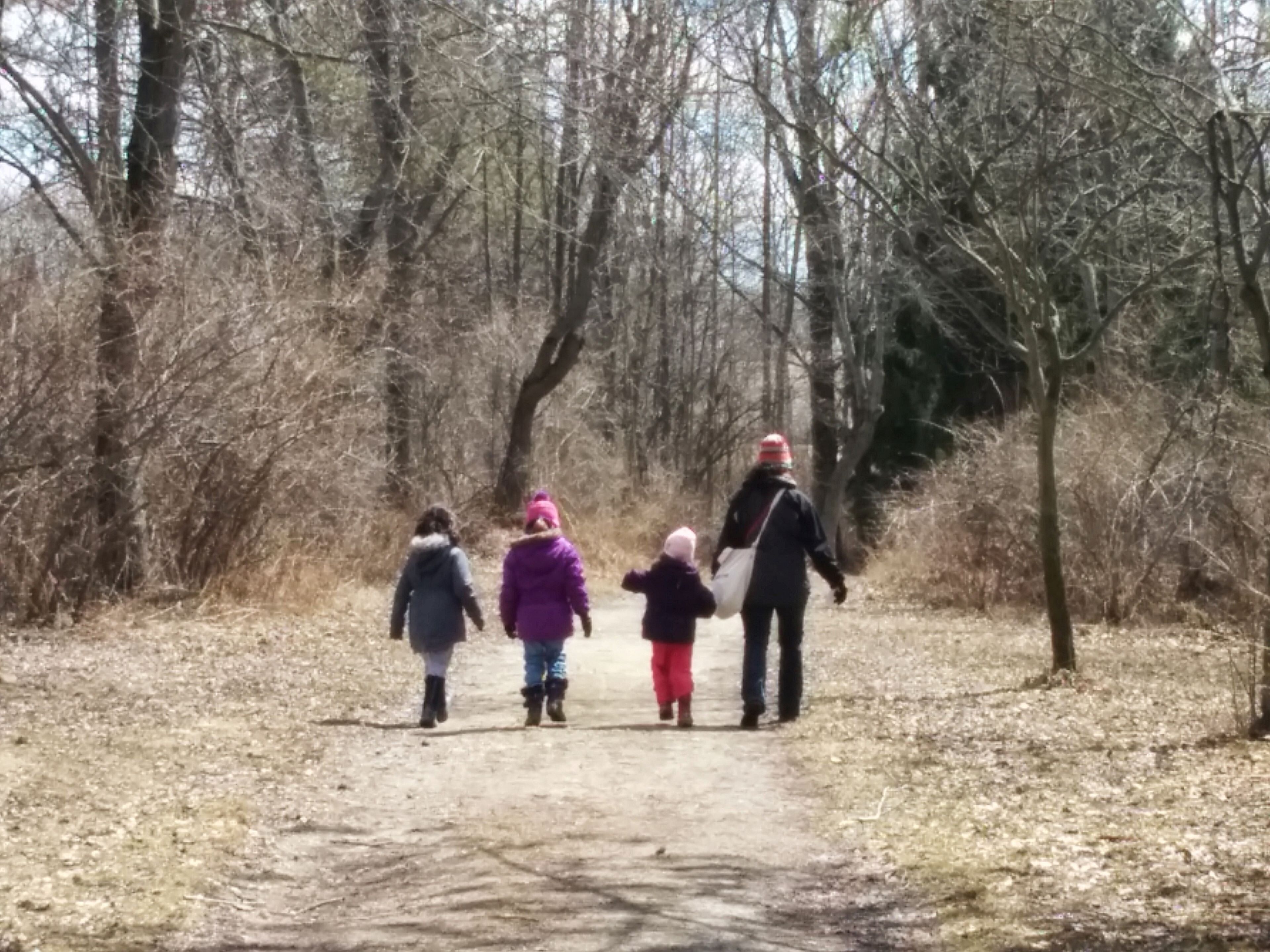 A group of people walking on a dirt path in a wooded area.