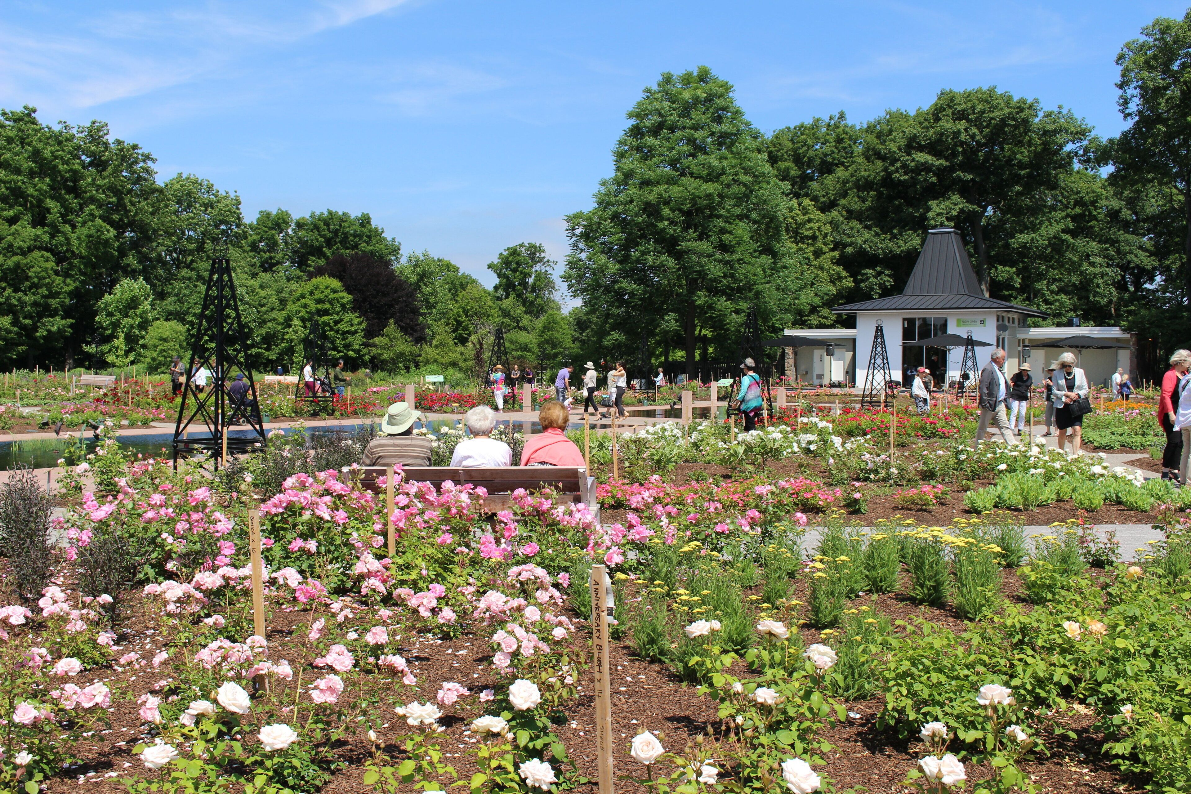 A garden with various plants and flowers, a gazebo, and a small building.