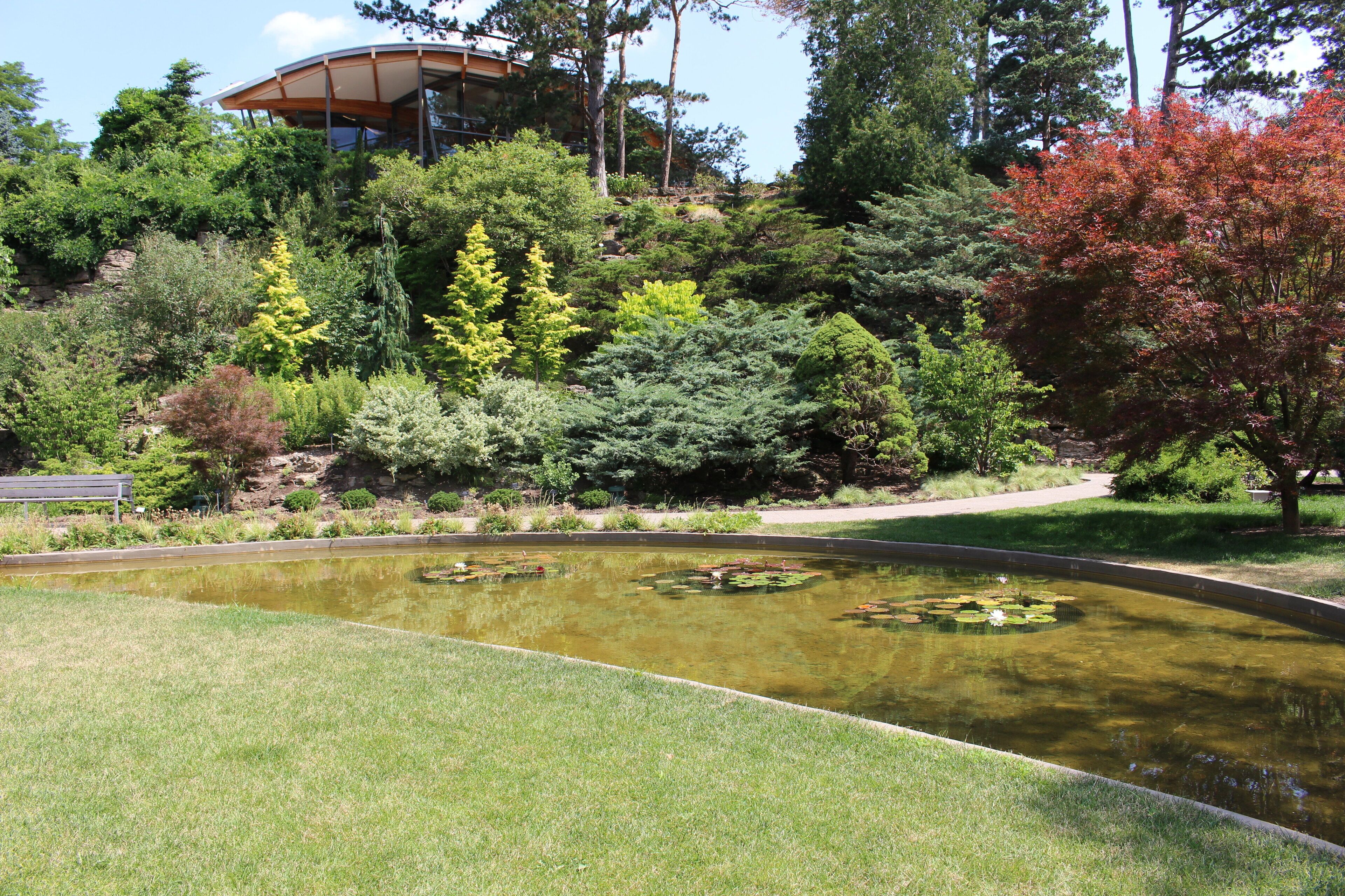 A landscaped garden with a pond, various trees, and a building with a curved roof.