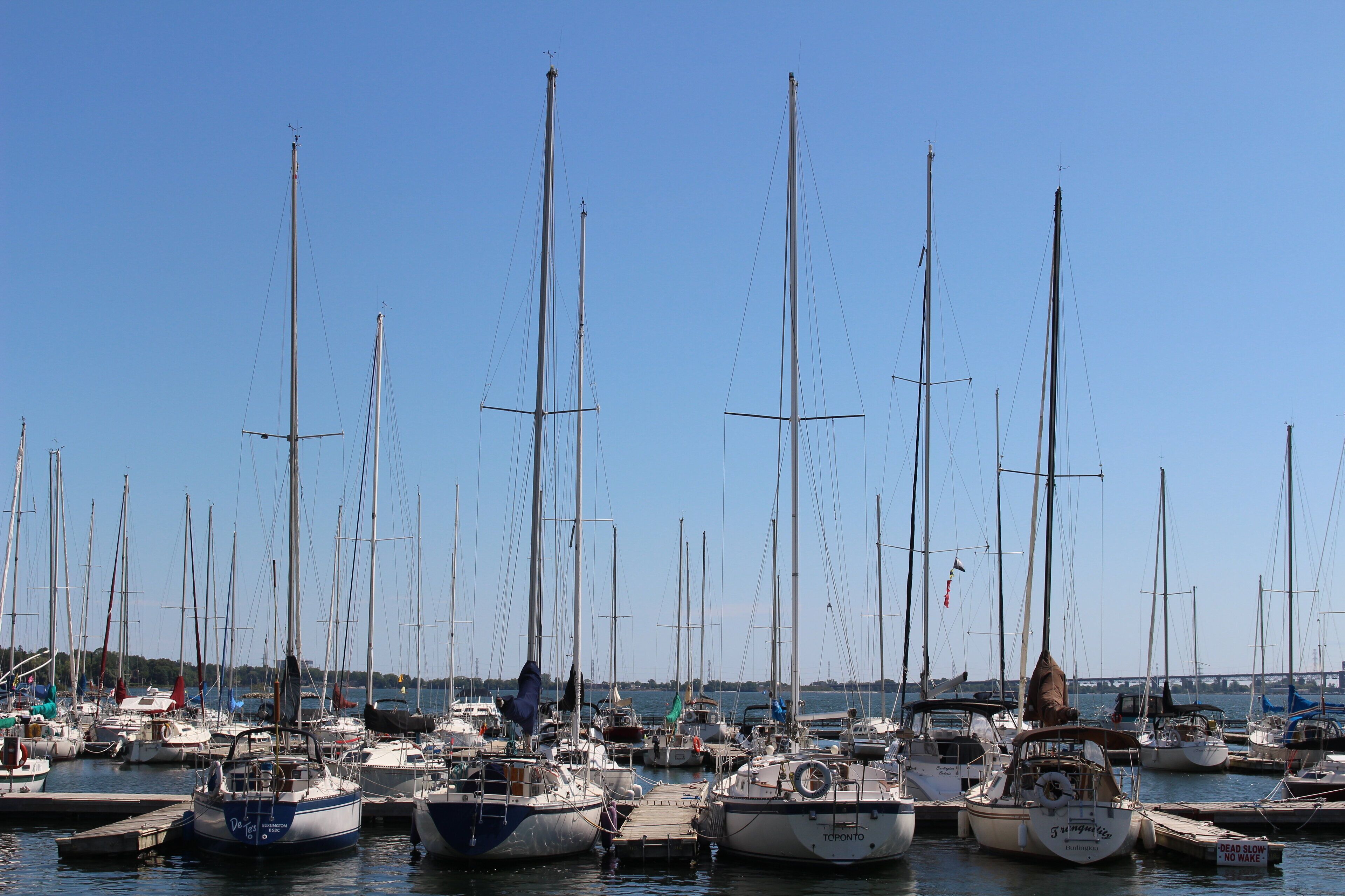 A marina with multiple sailboats docked at the pier.