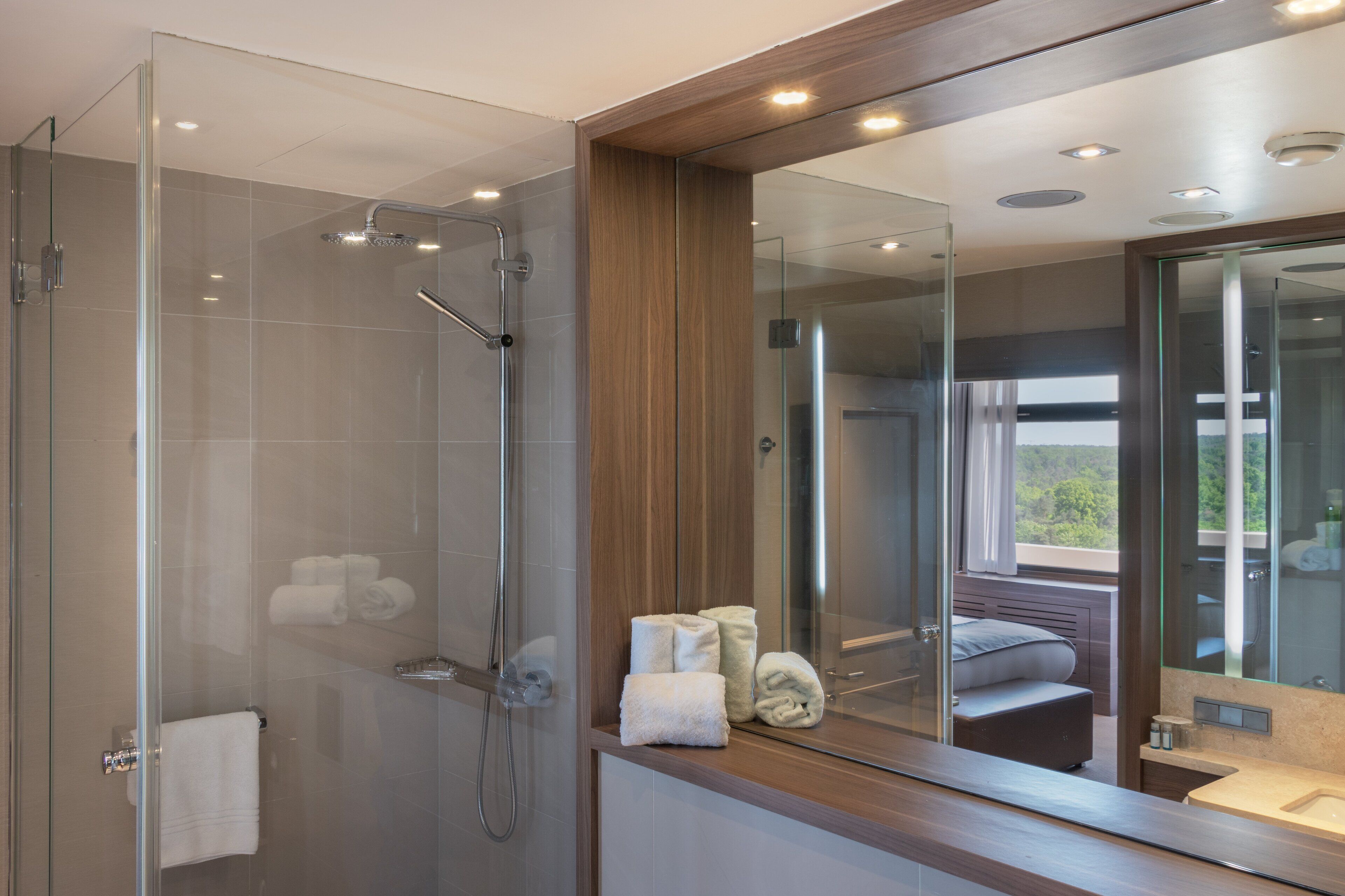 combined shower/bathtub, free toiletries, hair dryer, towels