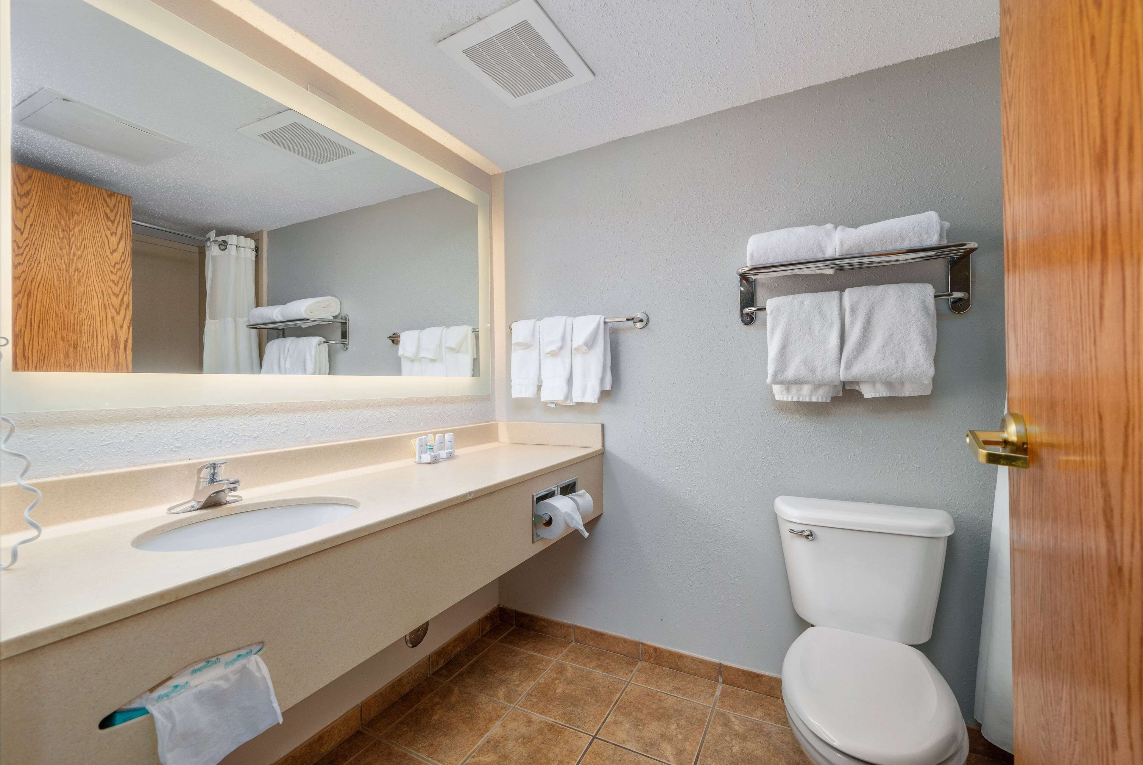 A bathroom with a sink, mirror, toilet, and towel racks.