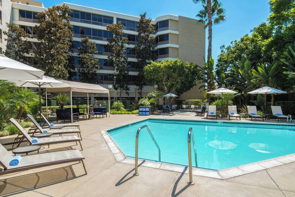 Outdoor pool, pool umbrellas, sun loungers