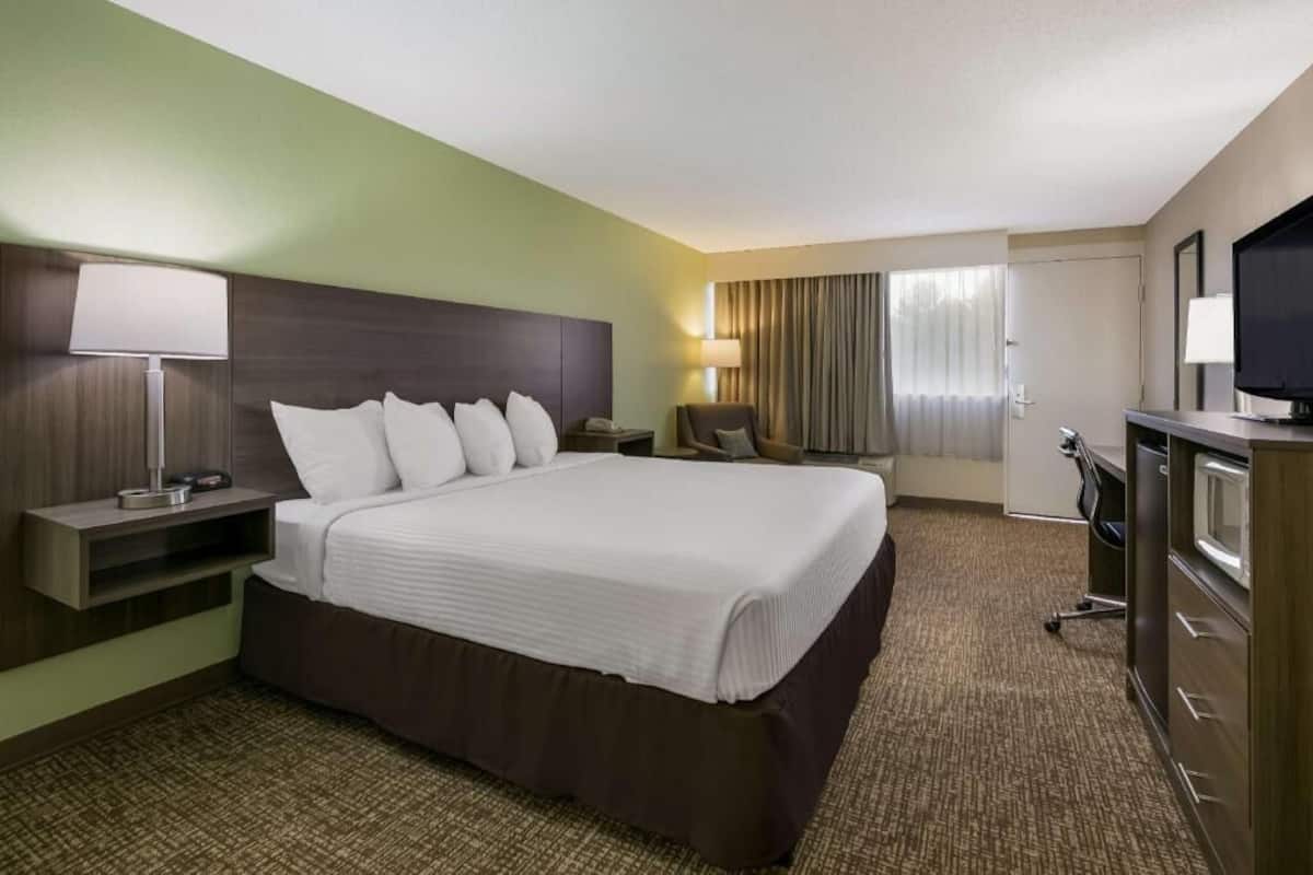 A hotel room with a large bed, bedside tables, a desk, a chair, a TV, and a window with curtains.