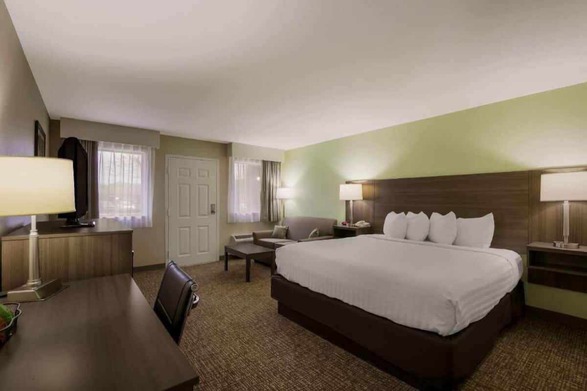 A hotel room with a bed, a desk, a chair, a TV, and a lamp.