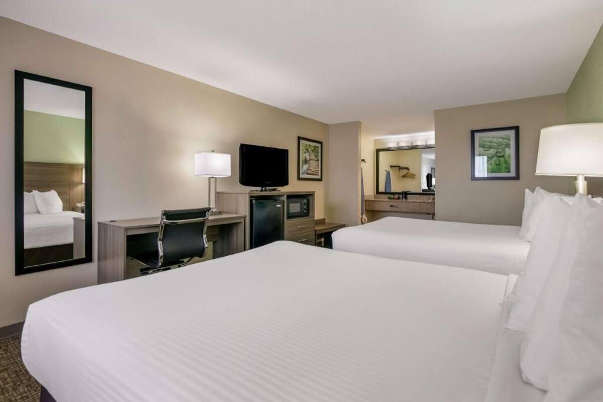 A hotel room with two beds, a desk with a chair, a television, a microwave, and a mirror.