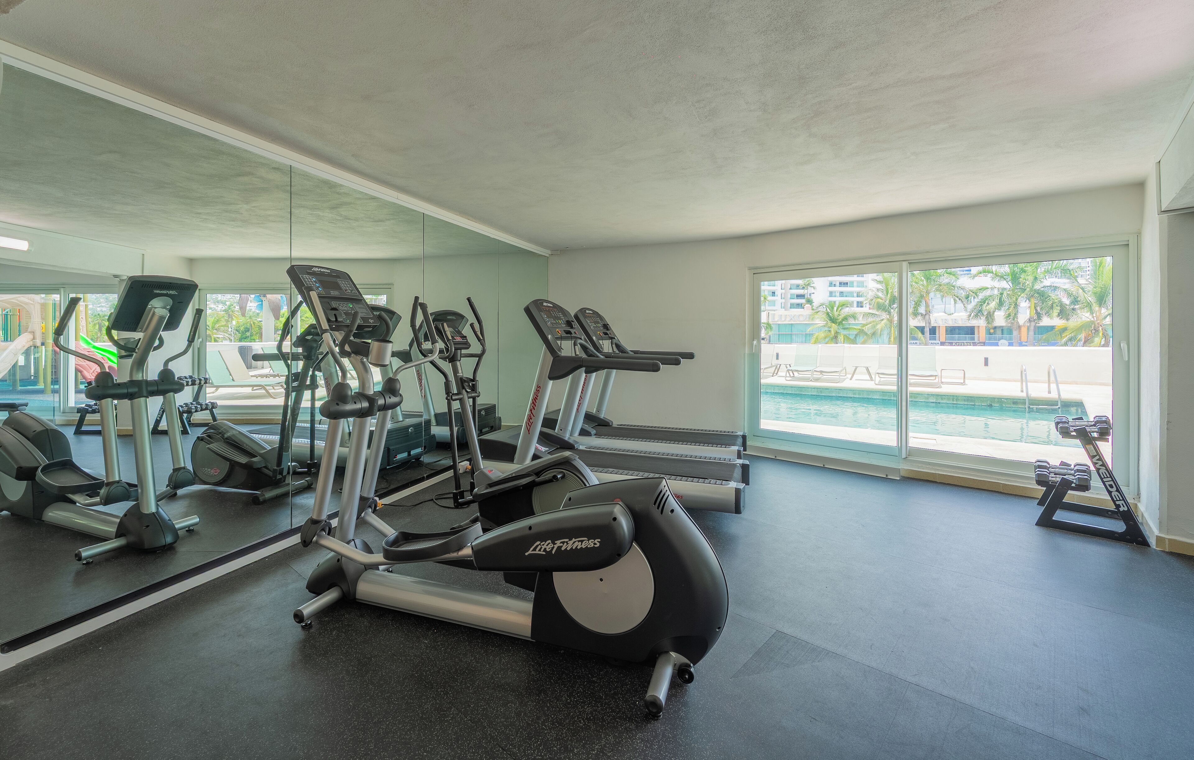 Ein Fitnessstudio mit Laufbändern, Crosstrainern und Kurzhanteln, große Fenster mit Blick auf Palmen und einen Pool.