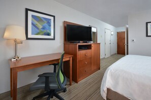In-room safe, desk, iron/ironing board, free cots/infant beds - Holiday Inn Express Lynchburg by IHG (Lynchburg)