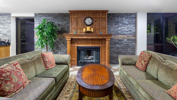 A modern living room with a fireplace, two sofas, a coffee table, and a large plant.