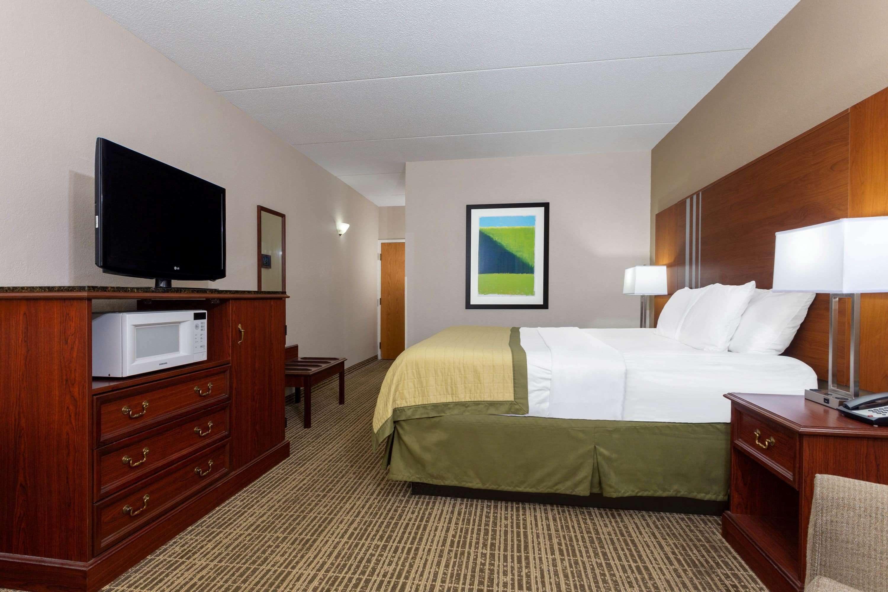 Habitación de hotel con cama, televisor, microondas, escritorio y una silla.