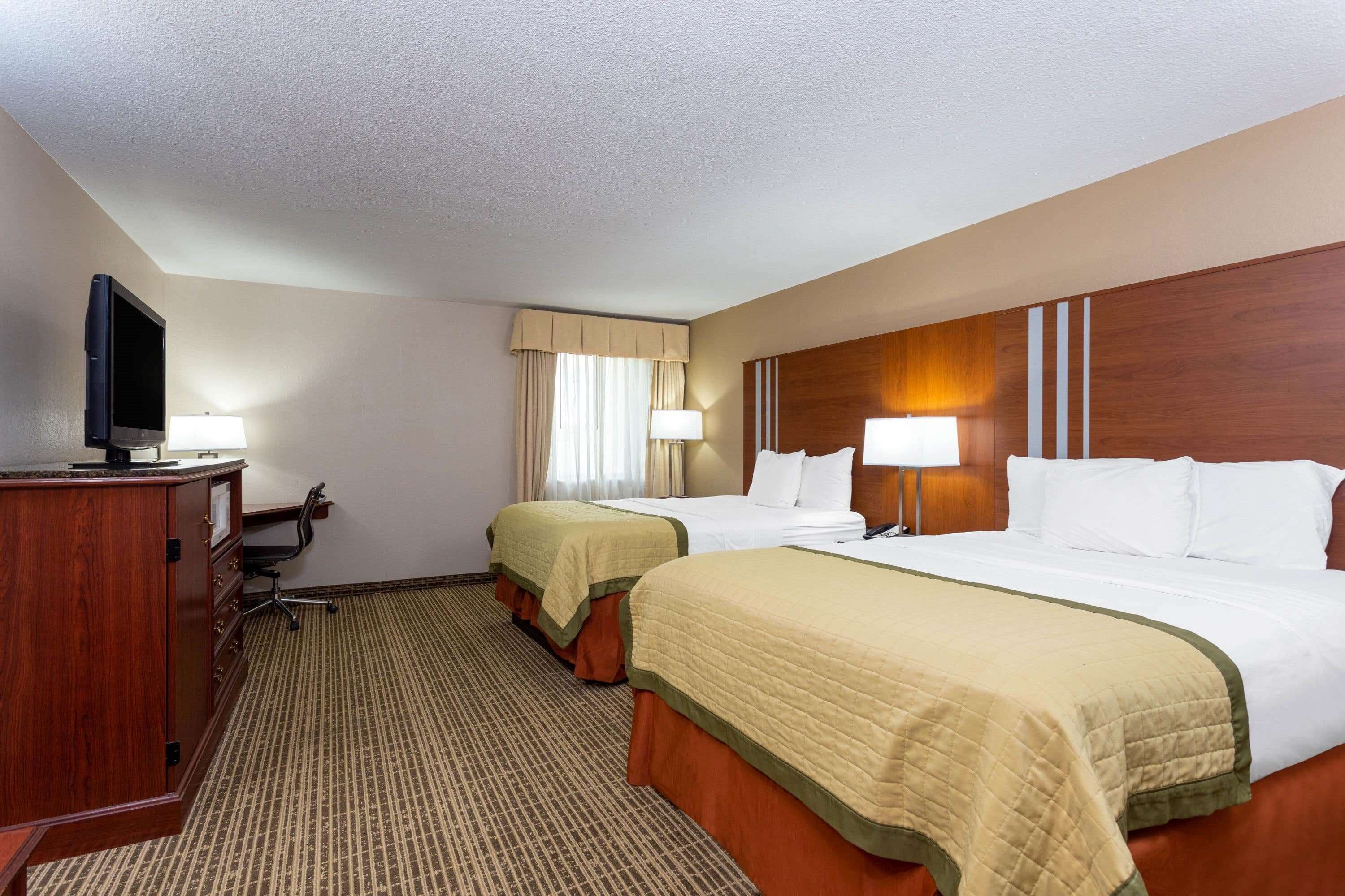 A hotel room with two beds, a desk with a television, and a carpeted floor.
