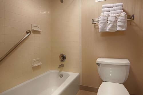 Combined shower/tub, free toiletries, hair dryer, towels