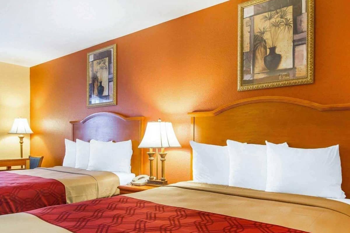 Een hotelkamer met twee bedden, een houten hoofdeinde, bedlampjes en twee ingelijste foto’s aan de muur.