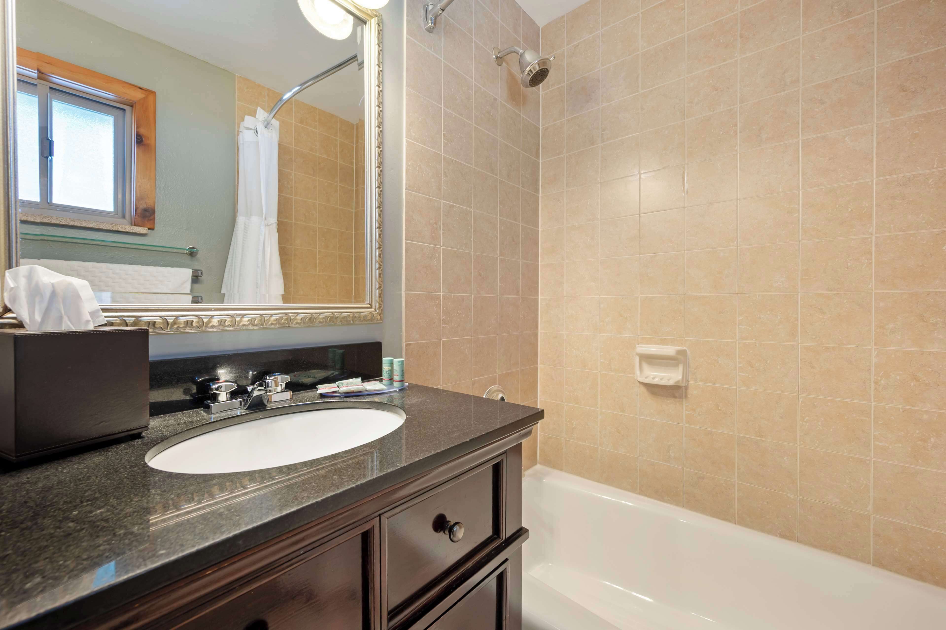 hair dryer, towels, toilet paper