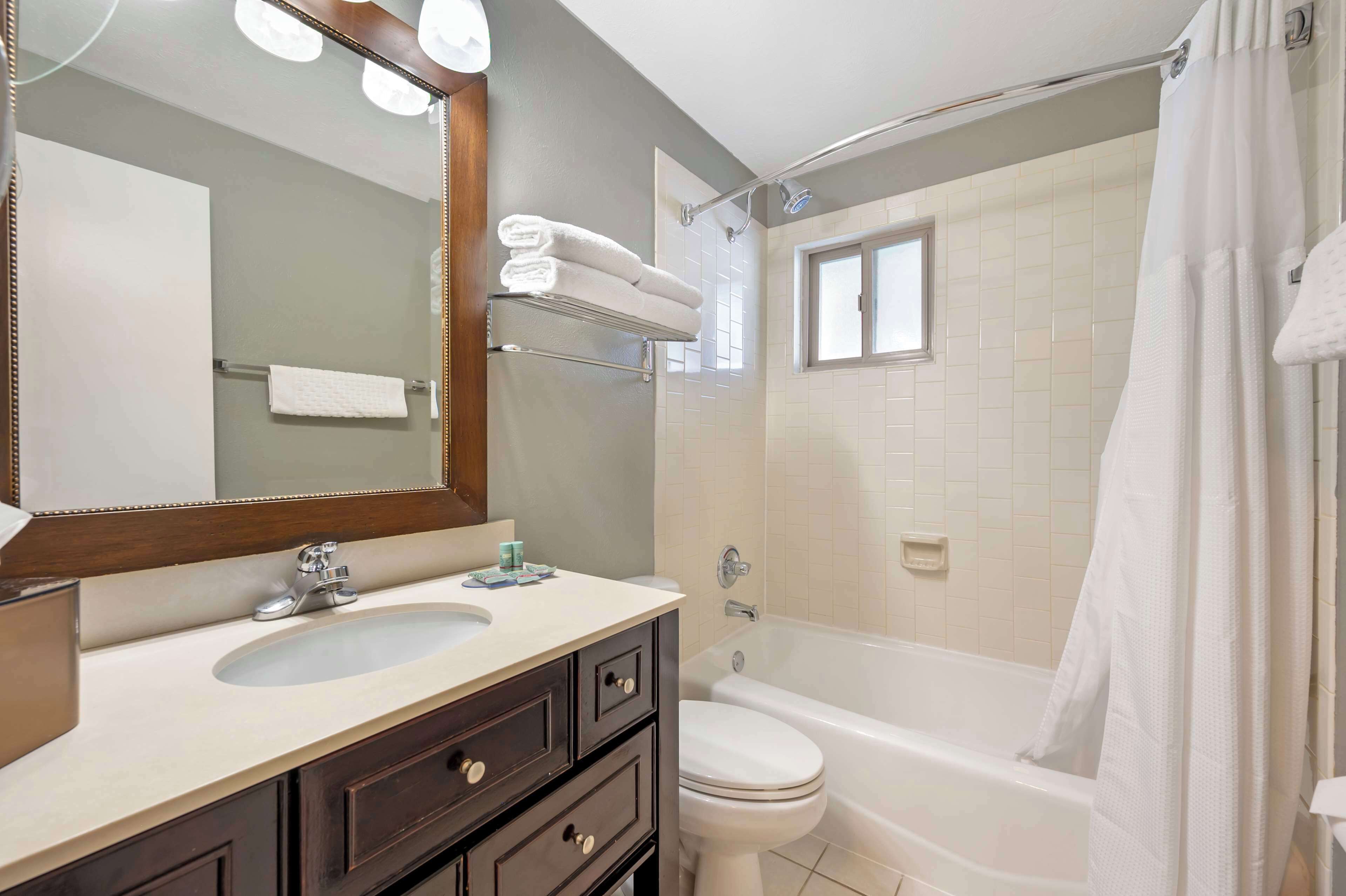 hair dryer, towels, toilet paper