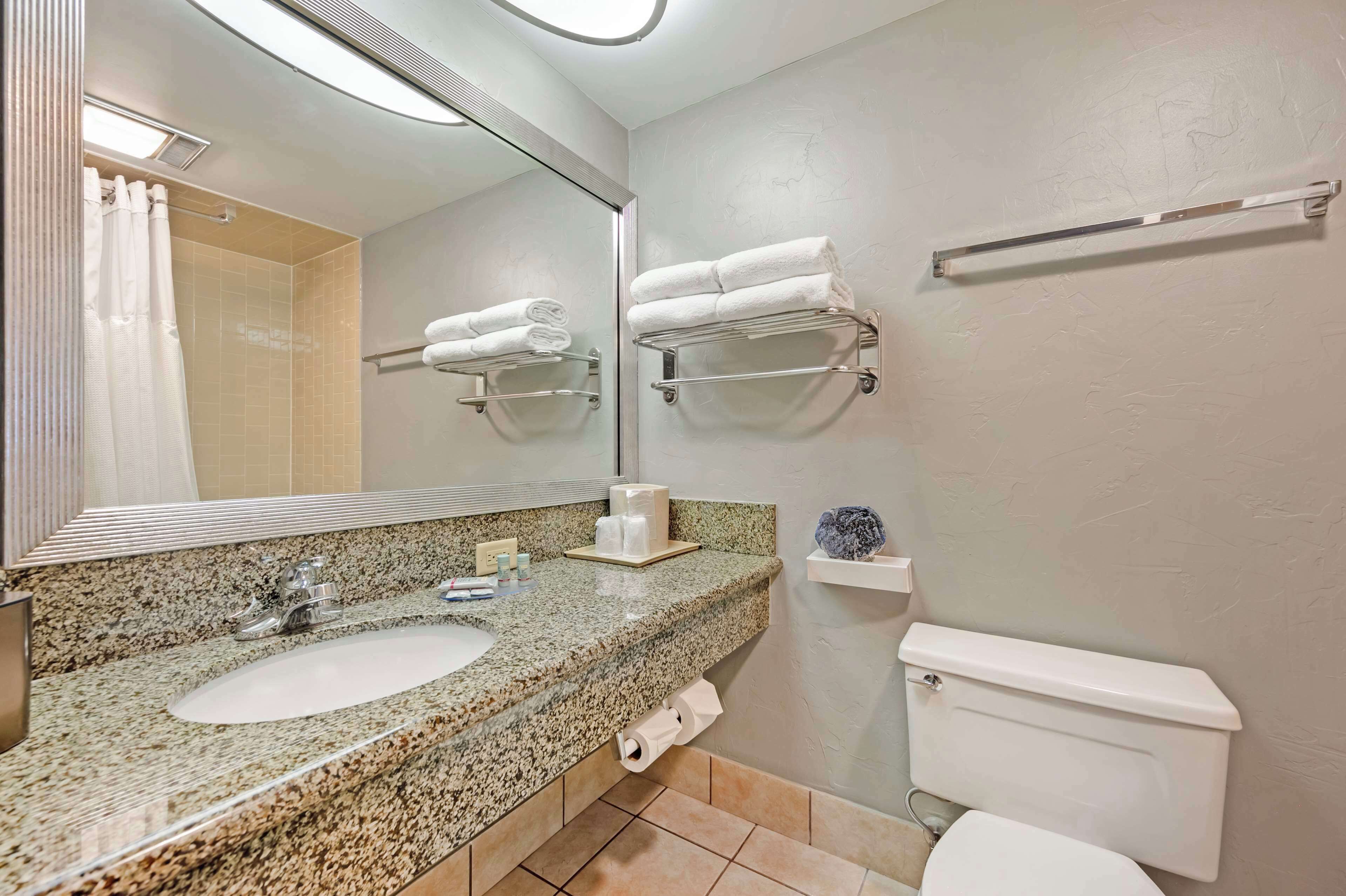 hair dryer, towels, toilet paper