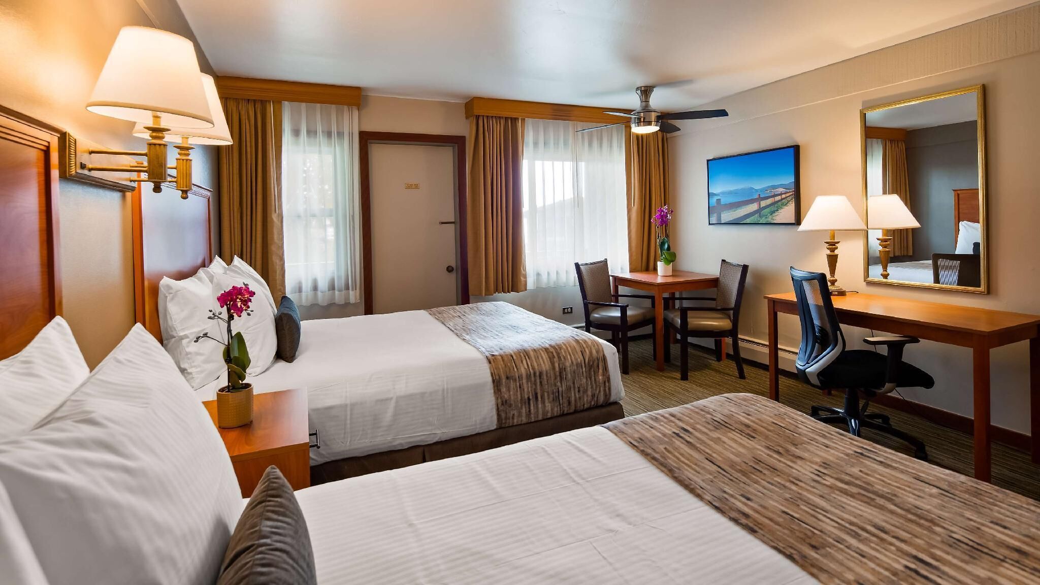 Desk, blackout drapes, iron/ironing board, free cribs/infant beds