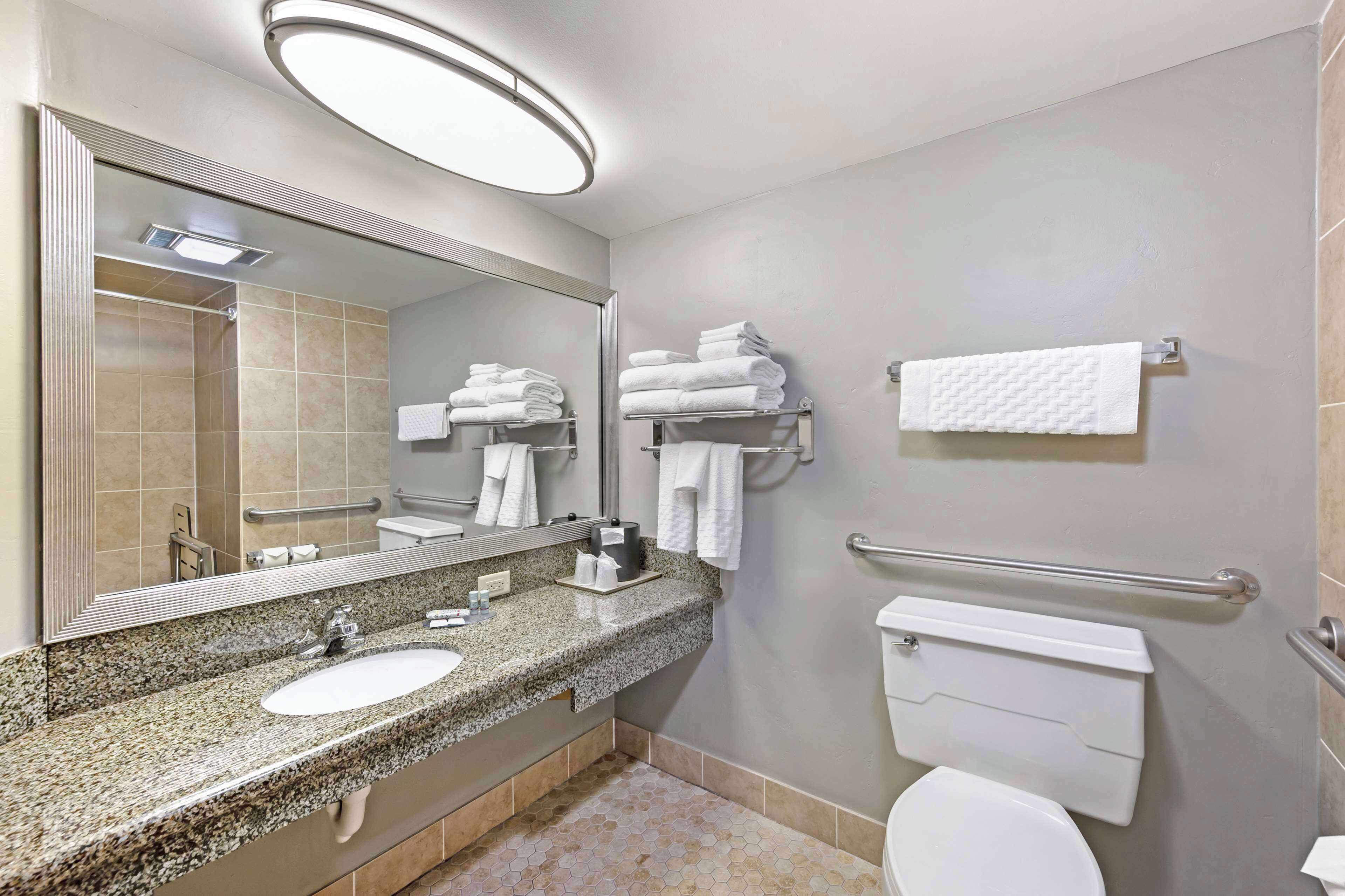 standard room, 1 king bed, accessible, non smoking | bathroom | hair dryer, towels, toilet paper